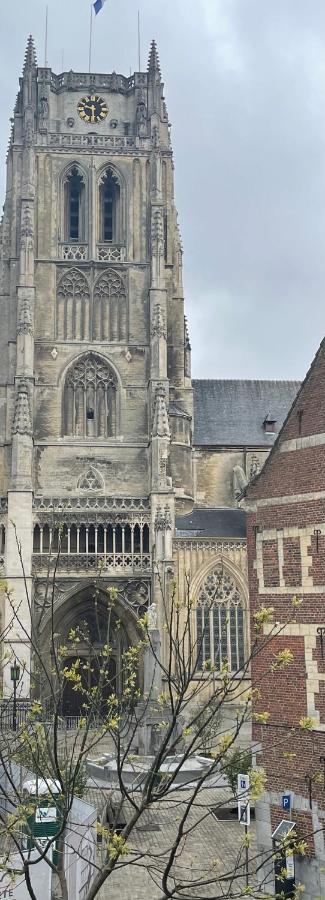 Domus Basil Villa Tongeren Bagian luar foto